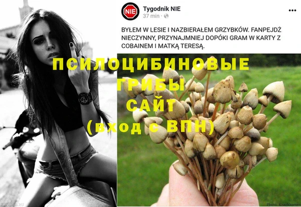 винт Армянск