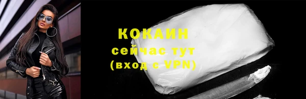 apvp Снежногорск