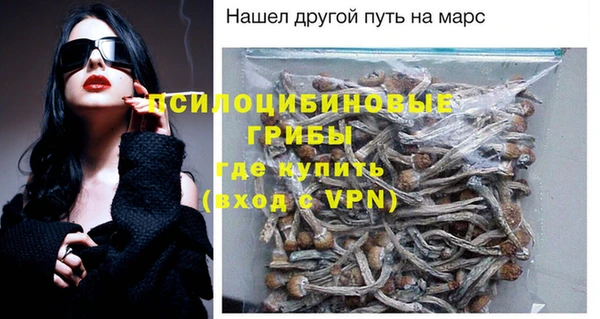 винт Армянск